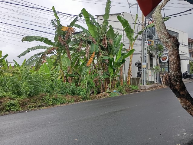 rent room, house, land, tanah di sewa kan, rumah, kos, di Pererenan, Badung, Bali