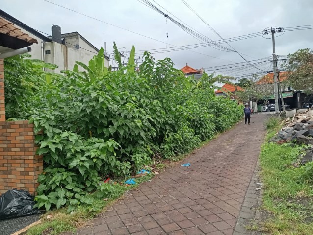 rent room, house, land, tanah di sewa kan, rumah, kos, di Pererenan, Badung, Bali