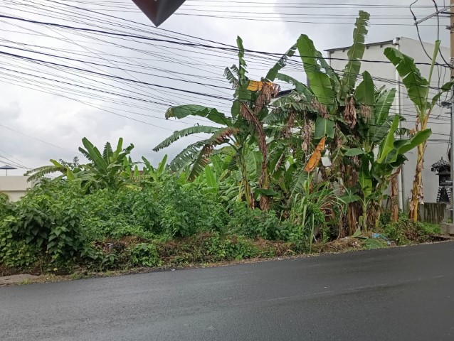 rent room, house, land, tanah, di sewa kan, rumah, kos, di Pererenan, Badung, Bali