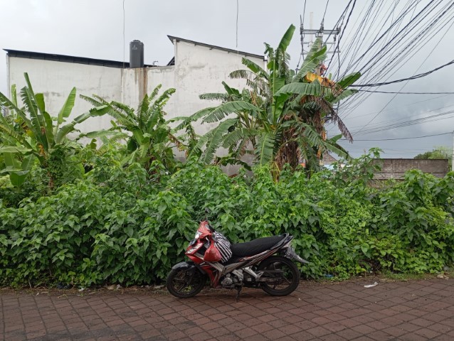 rent room, house, land, tanah di sewa kan, rumah, kos, di Pererenan, Badung, Bali