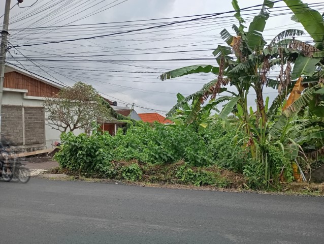 rent room, house, land, tanah di sewa kan, rumah, kos, di Pererenan, Badung, Bali