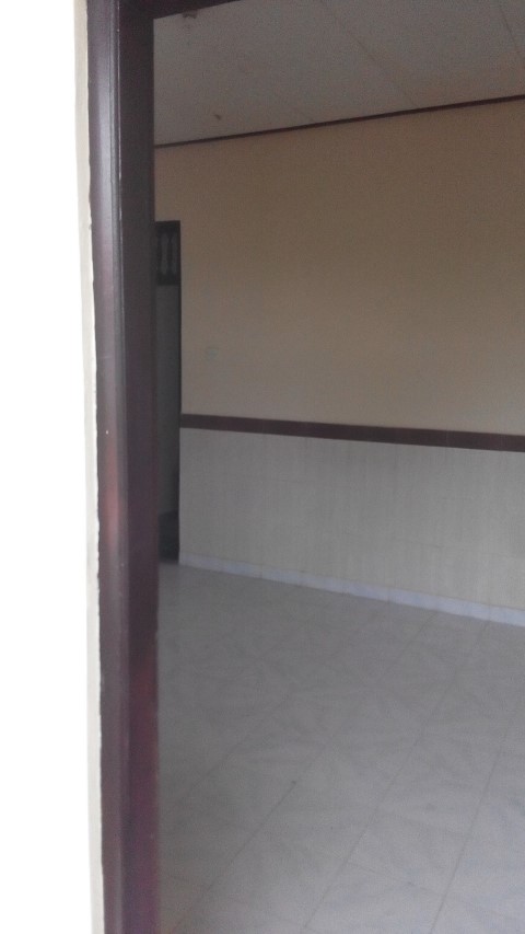 rent room, house, di sewa kan, rumah, kos, di Tuban, Badung, Bali